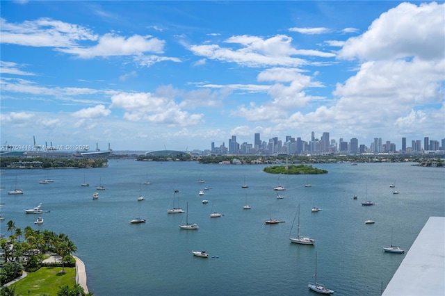 property view of water featuring a city view