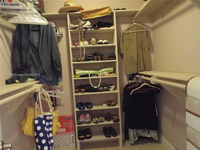 view of walk in closet