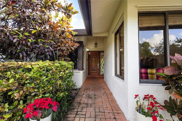 entrance to property featuring stucco siding