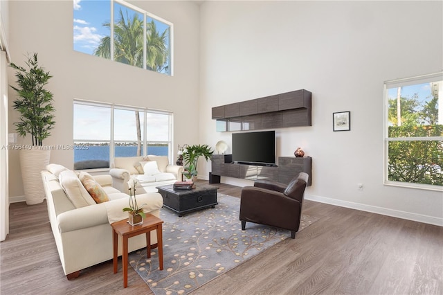 living area featuring baseboards, wood finished floors, and a towering ceiling