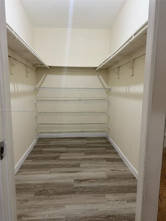 walk in closet with wood finished floors