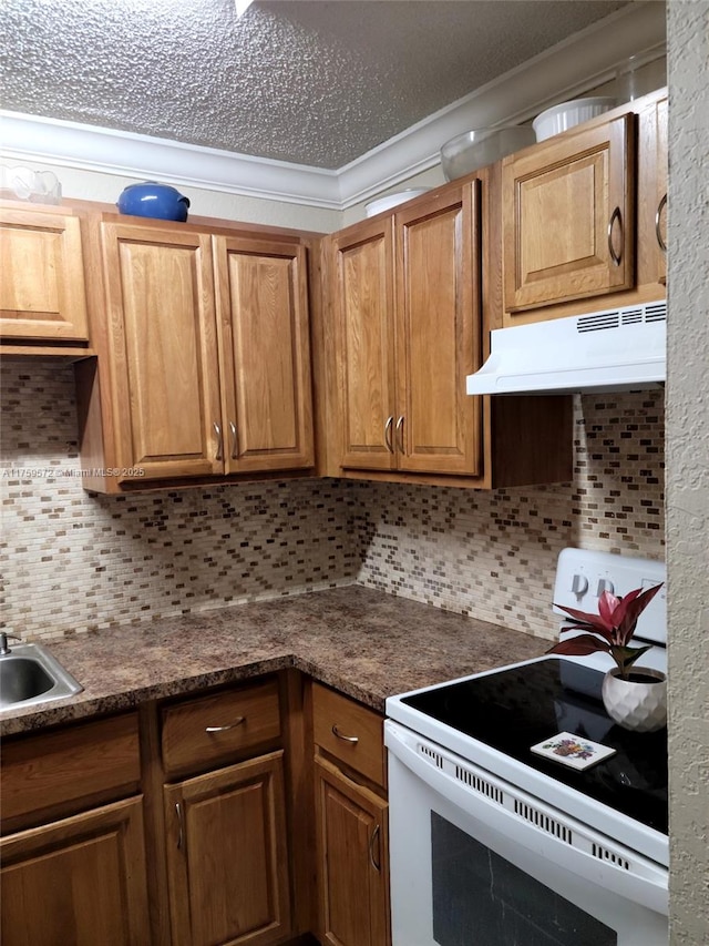 kitchen featuring electric range, brown cabinets, under cabinet range hood, a sink, and tasteful backsplash