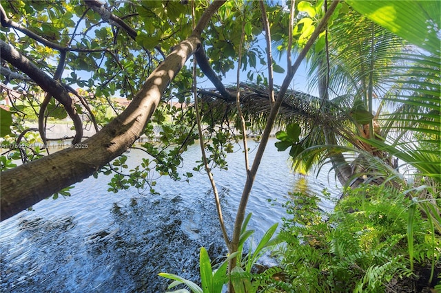 property view of water