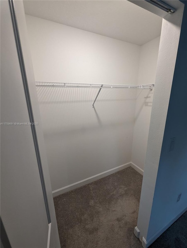 spacious closet with carpet