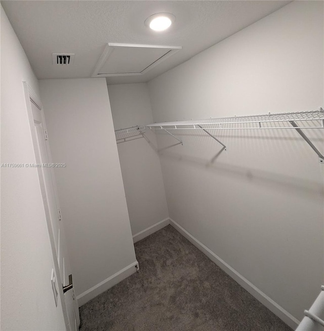 spacious closet with visible vents and carpet flooring