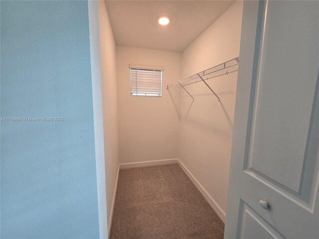 6001 Woods Edge Cir, Riviera Beach, FL 33410 - walk in closet with carpet floors