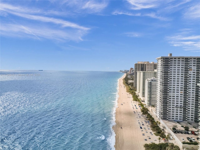 view of water feature featuring a beach view and a city view