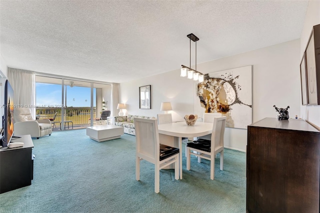 carpeted dining space with expansive windows and a textured ceiling