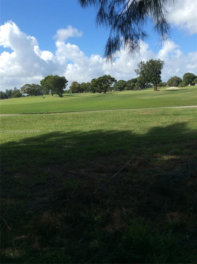 view of property's community with a yard