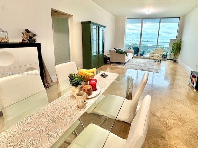 interior space with baseboards and floor to ceiling windows