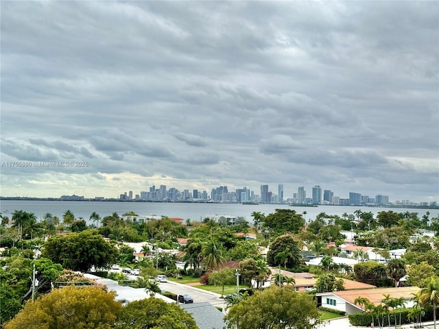 aerial view with a view of city and a water view