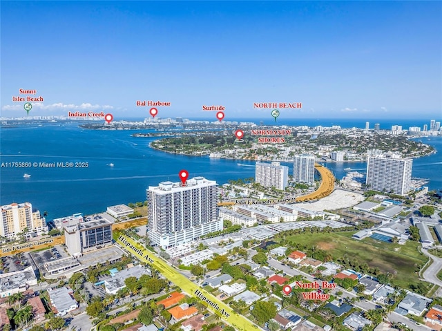 aerial view with a water view and a view of city