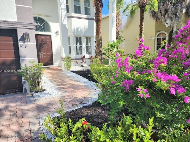 entrance to property with stucco siding