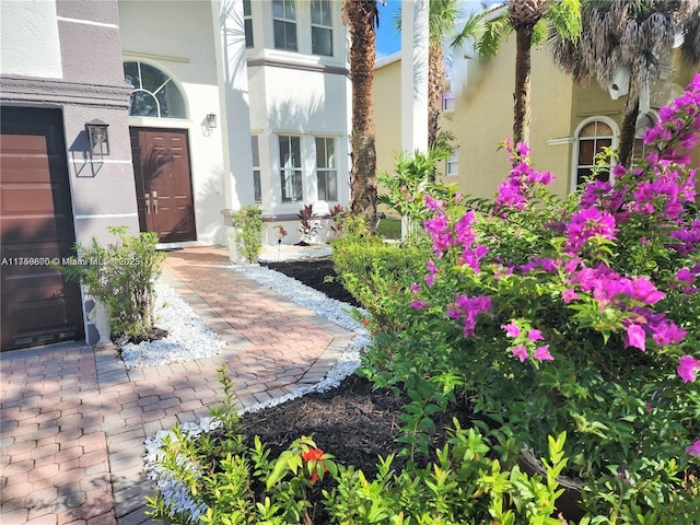 4951 SW 158th Ave, Miramar, FL 33027 - entrance to property with stucco siding