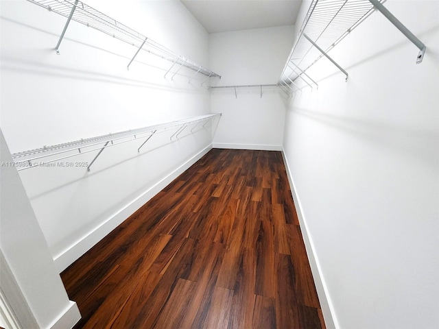 4951 SW 158th Ave, Miramar, FL 33027 - walk in closet featuring dark wood-style flooring