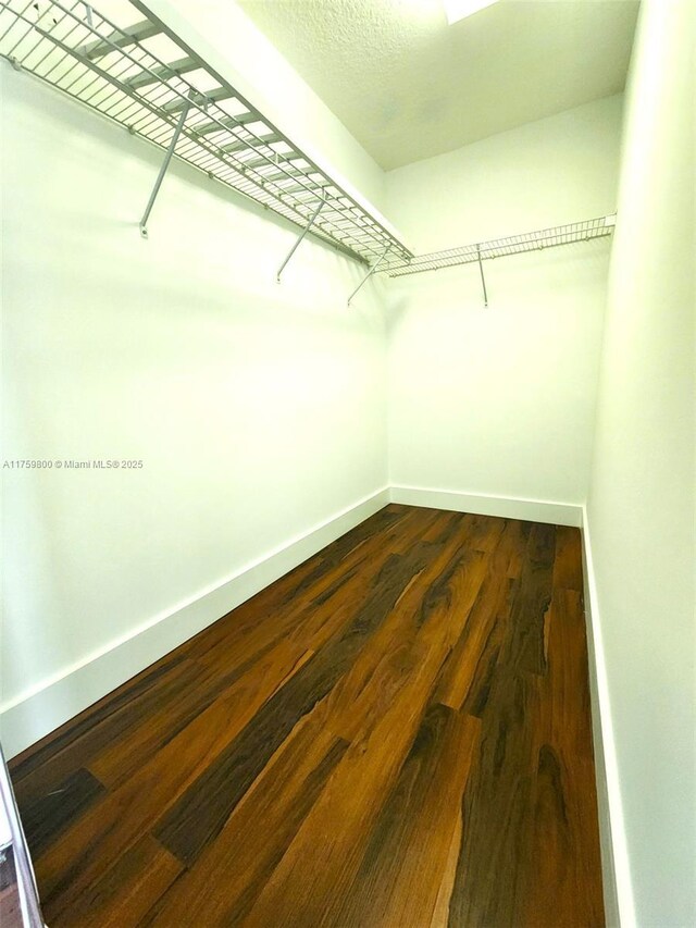 4951 SW 158th Ave, Miramar, FL 33027 - walk in closet with dark wood-style floors