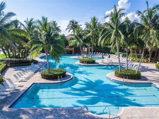 view of swimming pool