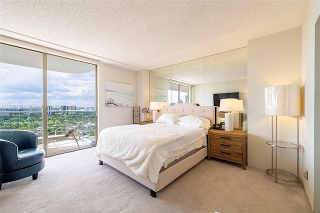bedroom featuring a textured ceiling, a city view, light colored carpet, access to exterior, and expansive windows