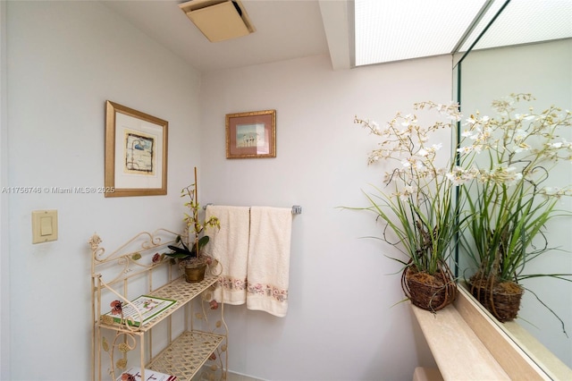 view of bathroom