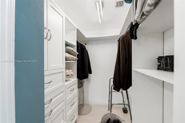 17 Boxwood Rd, Hollywood, FL 33021 - walk in closet with visible vents and light wood-style floors