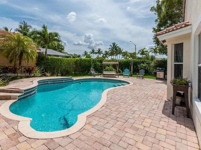 view of pool with a fenced backyard, a fenced in pool, area for grilling, and a patio