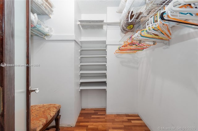 spacious closet featuring wood finished floors