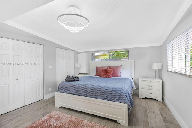 bedroom featuring lofted ceiling, two closets, and wood finished floors