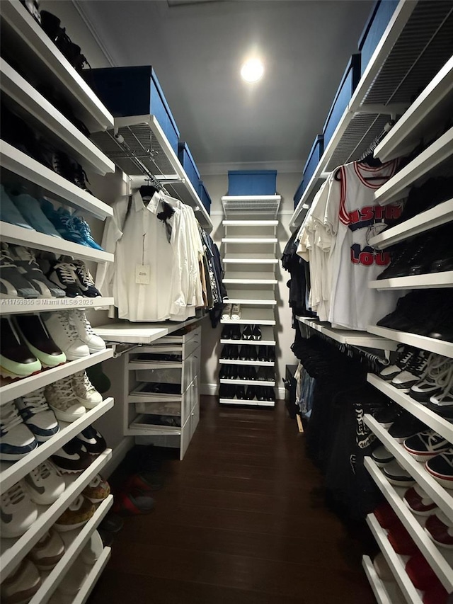 spacious closet featuring dark wood-style floors