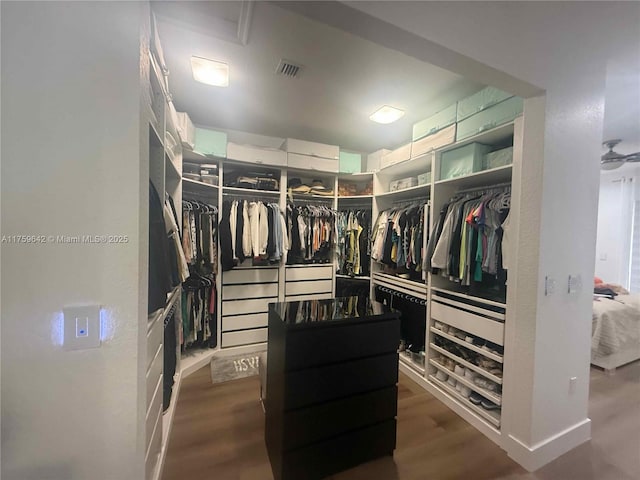 walk in closet with visible vents and wood finished floors