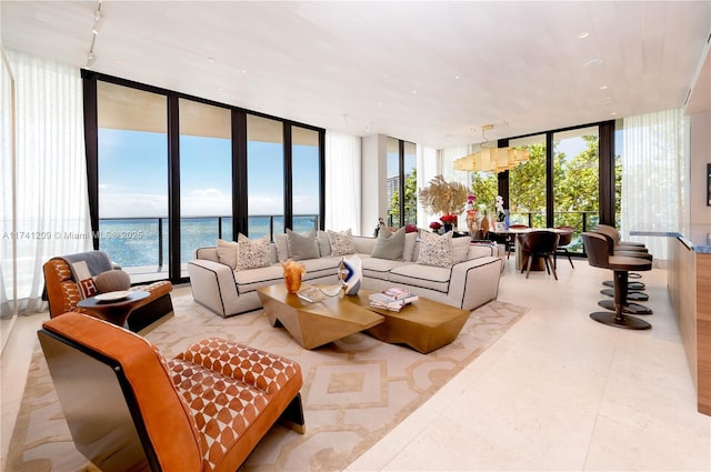 living area with floor to ceiling windows and rail lighting