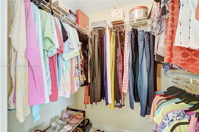 view of walk in closet