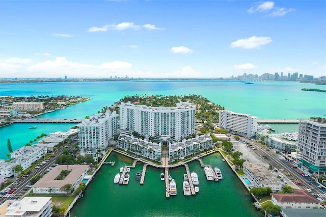 aerial view featuring a city view and a water view