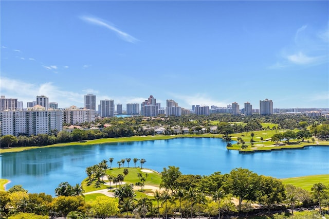 view of water feature with a city view