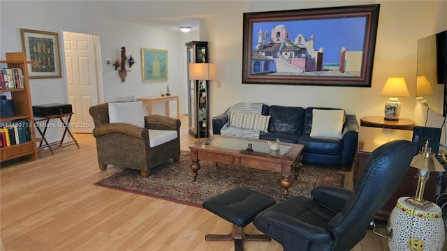 living area with wood finished floors