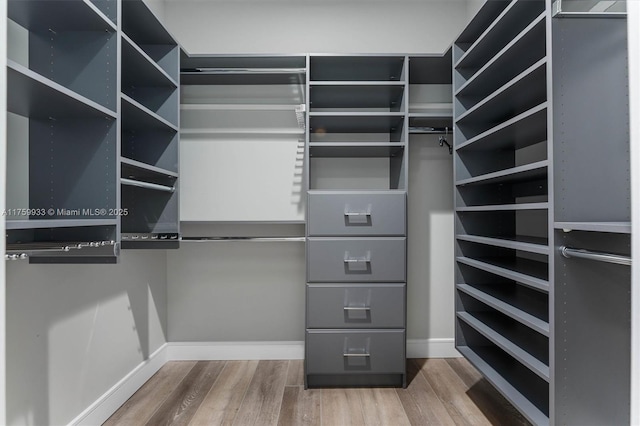 walk in closet featuring wood finished floors