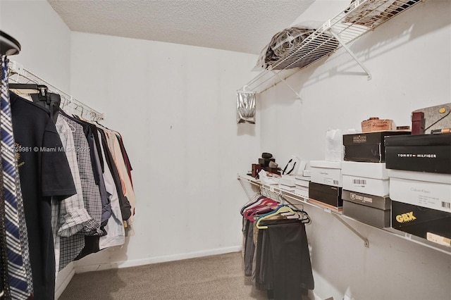 walk in closet with carpet floors