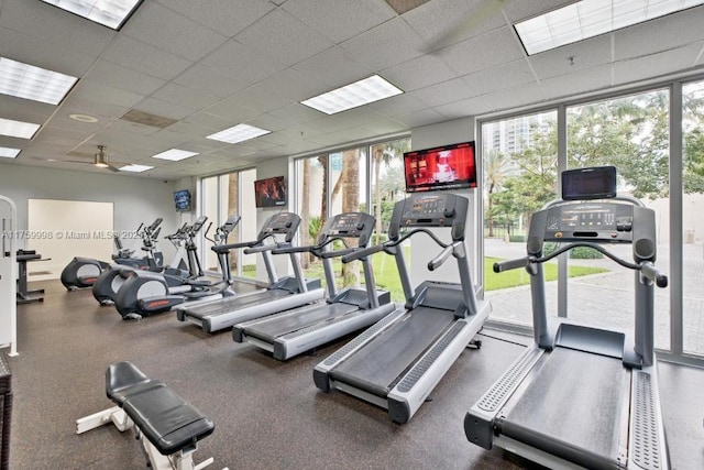 gym featuring a paneled ceiling and floor to ceiling windows