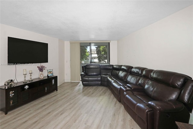 living room featuring light wood-style floors and a textured ceiling