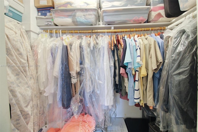 view of closet