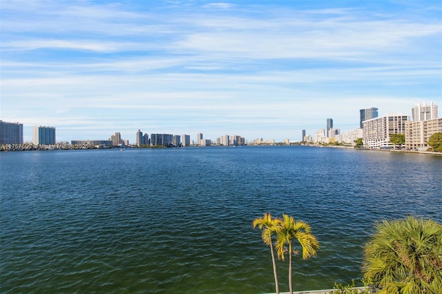 property view of water with a city view
