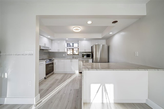 kitchen featuring under cabinet range hood, a peninsula, stainless steel appliances, a raised ceiling, and a sink