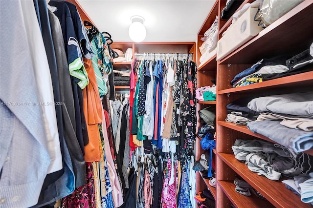 view of walk in closet