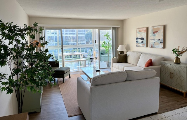 living room featuring wood finished floors