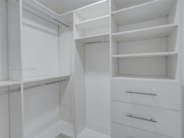 view of spacious closet