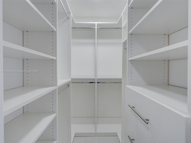 view of walk in closet