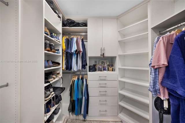 view of spacious closet