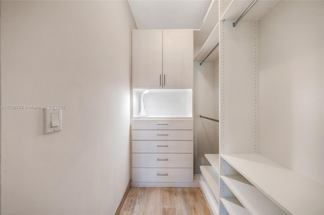 spacious closet featuring light wood-style floors