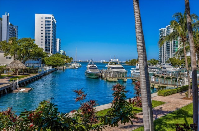 view of water feature featuring a view of city and a boat dock