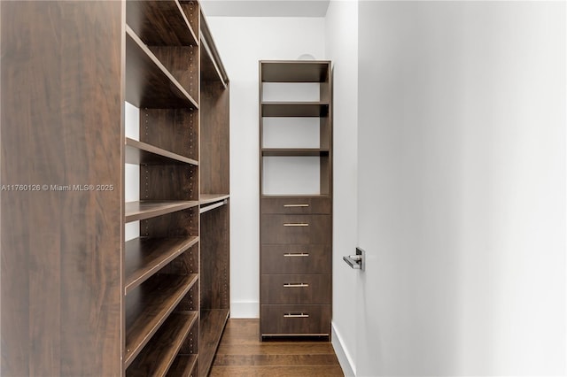 walk in closet with dark wood-style flooring