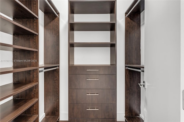 view of walk in closet